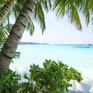 Meet your Posher, Jayne